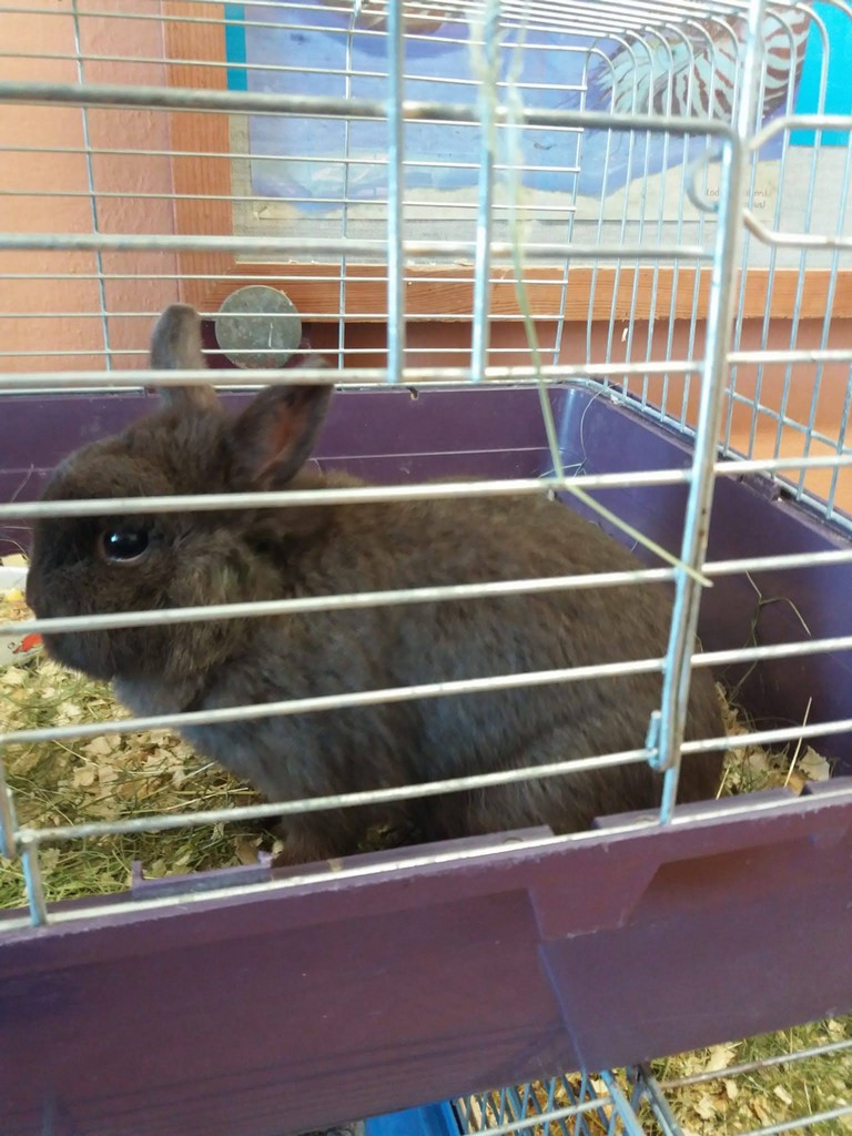 IMG-20220310-WA0019