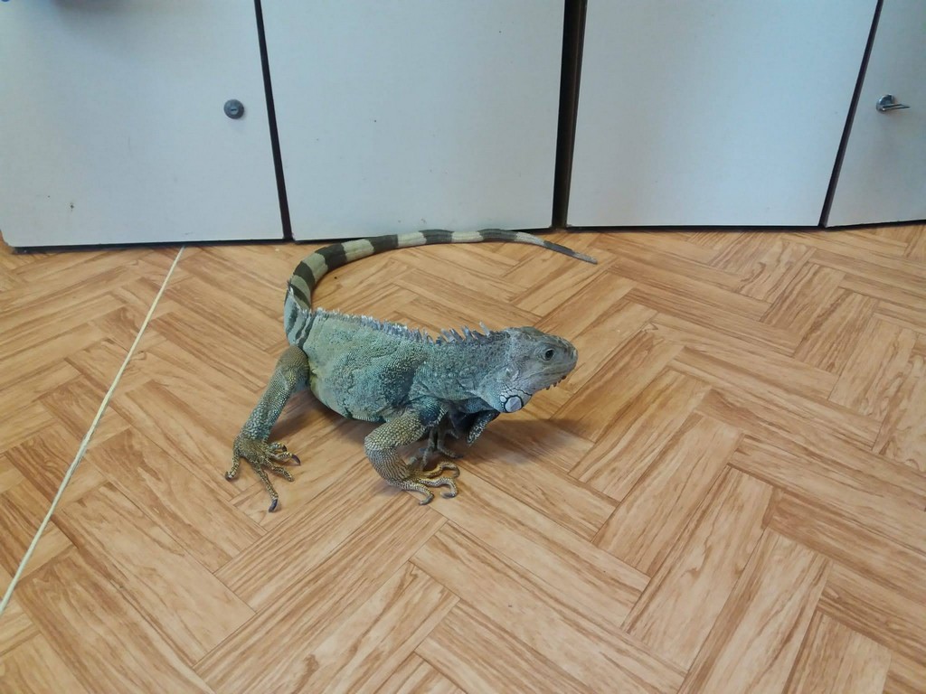 IMG-20220310-WA0020